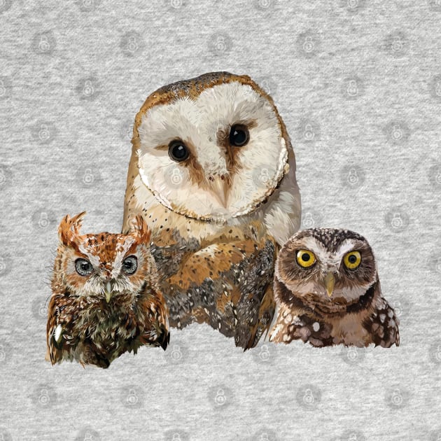 Scops owl, Little Owl and Owl by obscurite